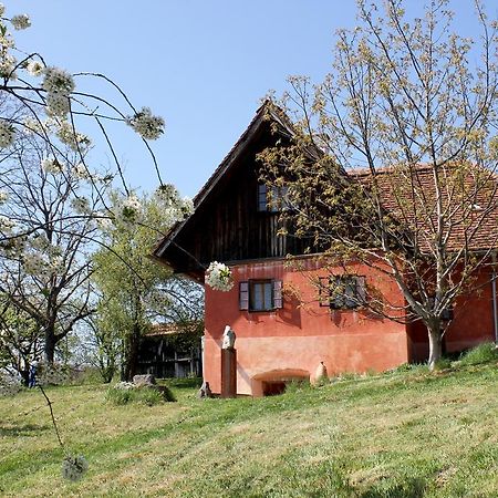 Ferienwohnungen Sonnenberg Ratsch an der Weinstraße エクステリア 写真
