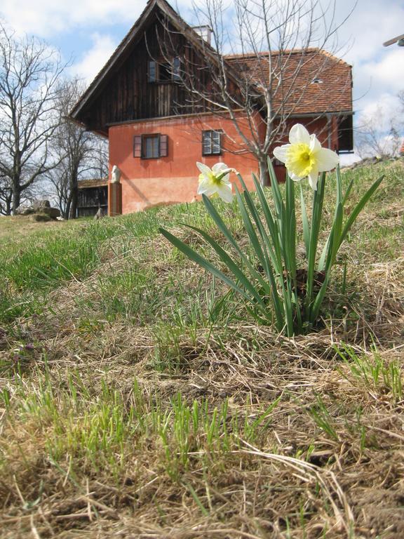 Ferienwohnungen Sonnenberg Ratsch an der Weinstraße エクステリア 写真